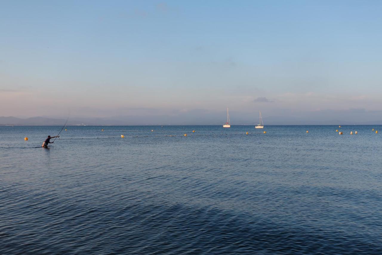 Acces Prive De La Bergerie * Hyeres